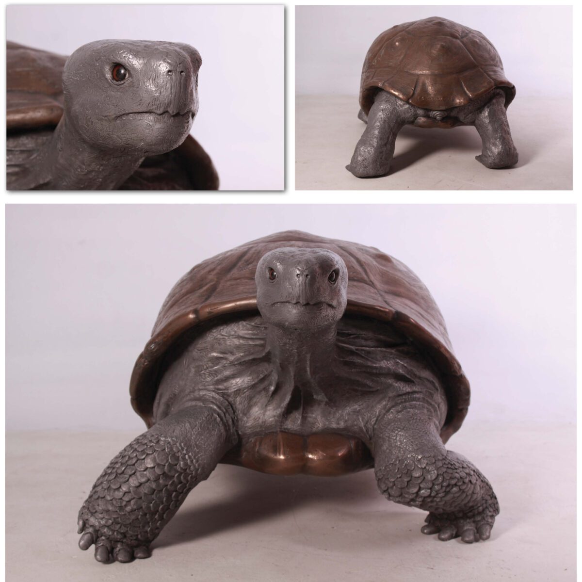 Natureworks Australia Galapagos Tortoise - versions in catalogue - 080124 Bronze showing various views