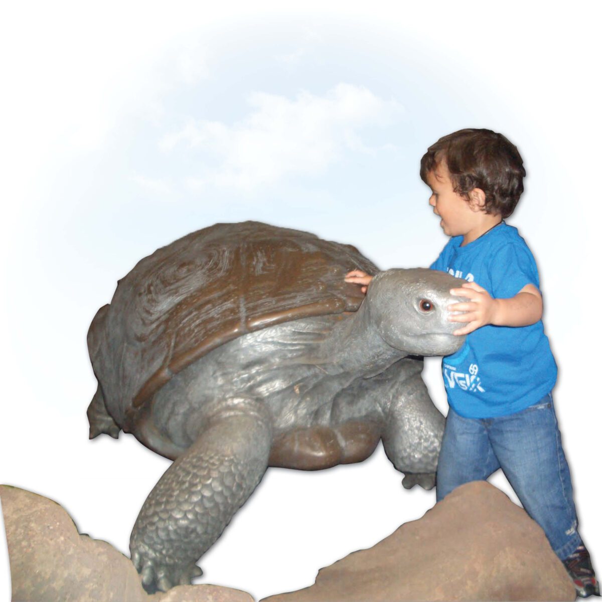 Natureworks Australia Galapagos Tortoise - versions in catalogue - 080124 Bronze Aluminium - shown with little boy