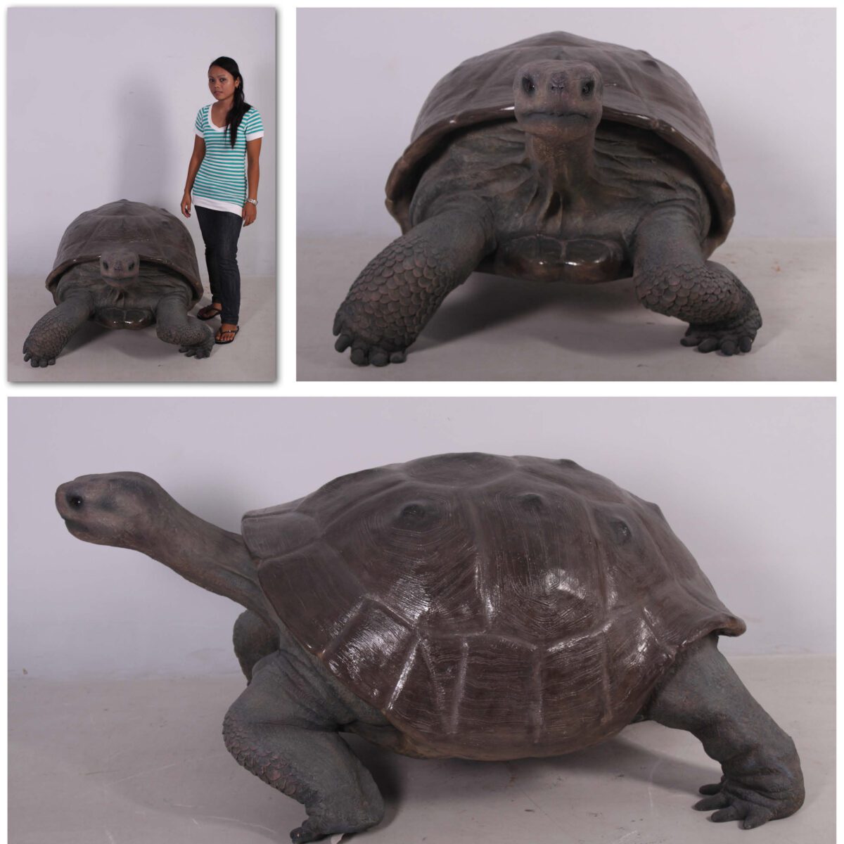 Natureworks Australia Galapagos Tortoise - 080124 Bronze- showing various views - side view front view and with lady