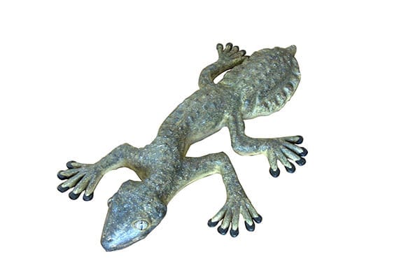 Gecko Giant Leaf Tailed