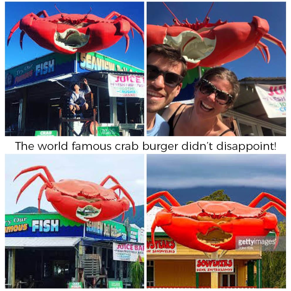 Natureworks Australia Giant Crab On Post Cardwell Visitors