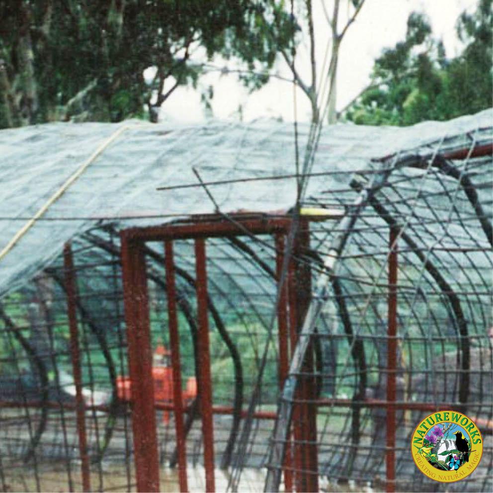 Natureworks Australia Giant Dugong Front View Dreamtime adding fibreglass