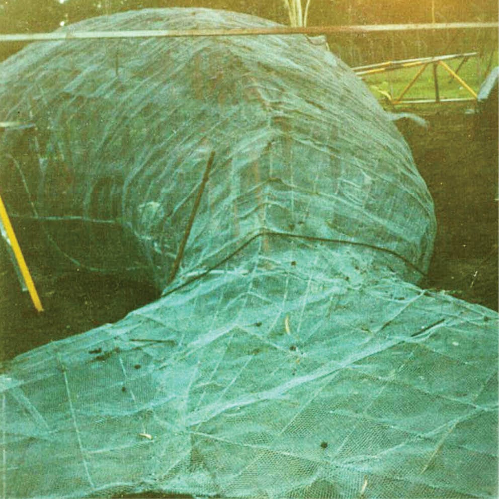 Natureworks Australia Giant Dugong Rear View Showing fibreglass cover