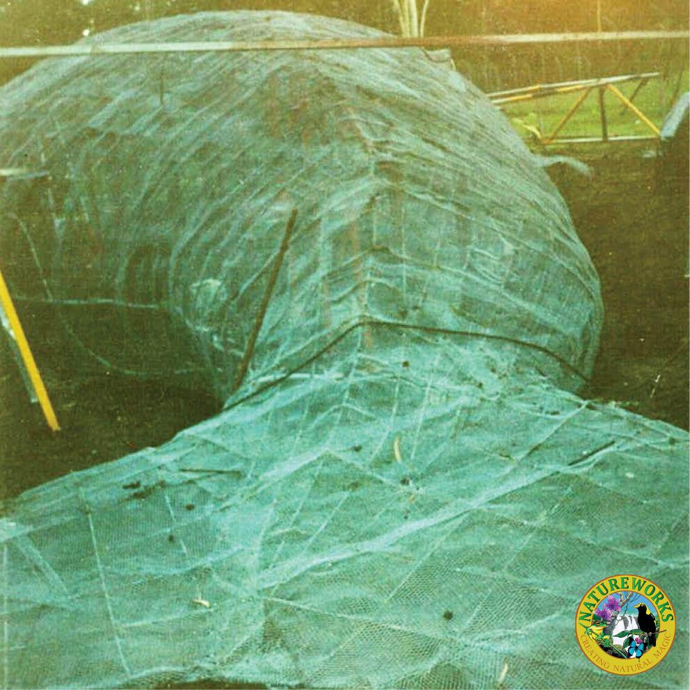 Natureworks Australia Giant Dugong Rear View Showing fibreglass cover