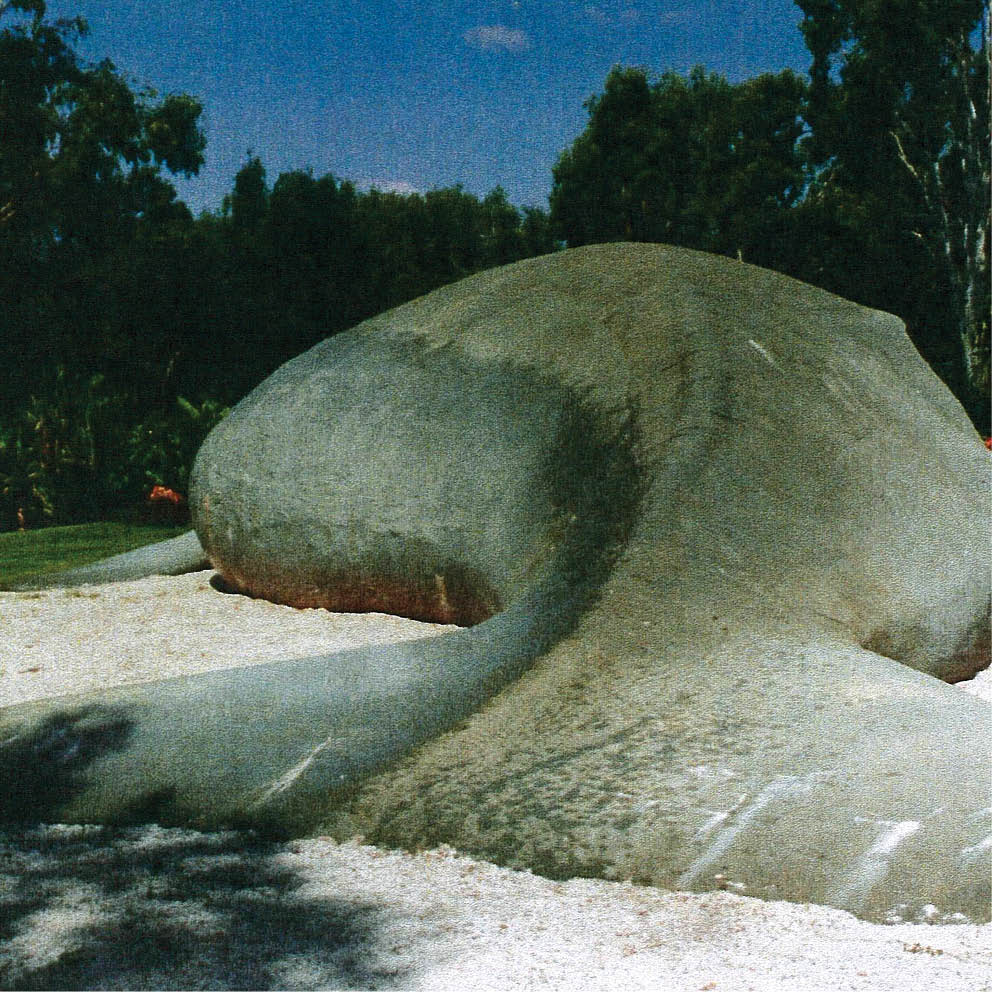 Natureworks Australia Giant Dugong Rear View of Dugong