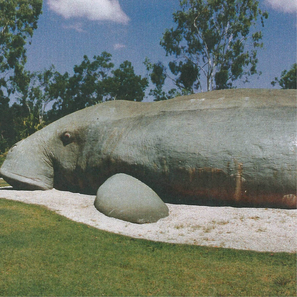 Giant Dugong Side View of Dugong completed