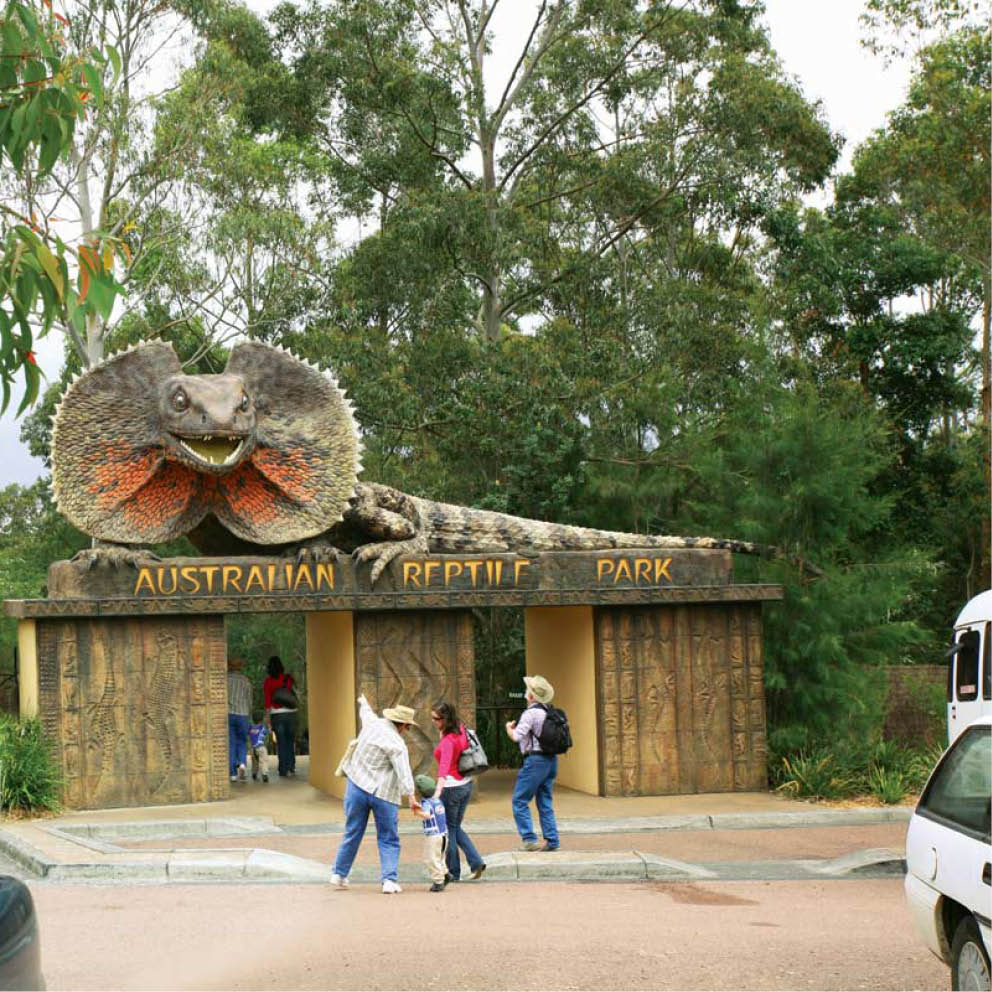 Natureworks Australia Giant Frilled Neck Lizard Entry Statement Australian Reptile Park