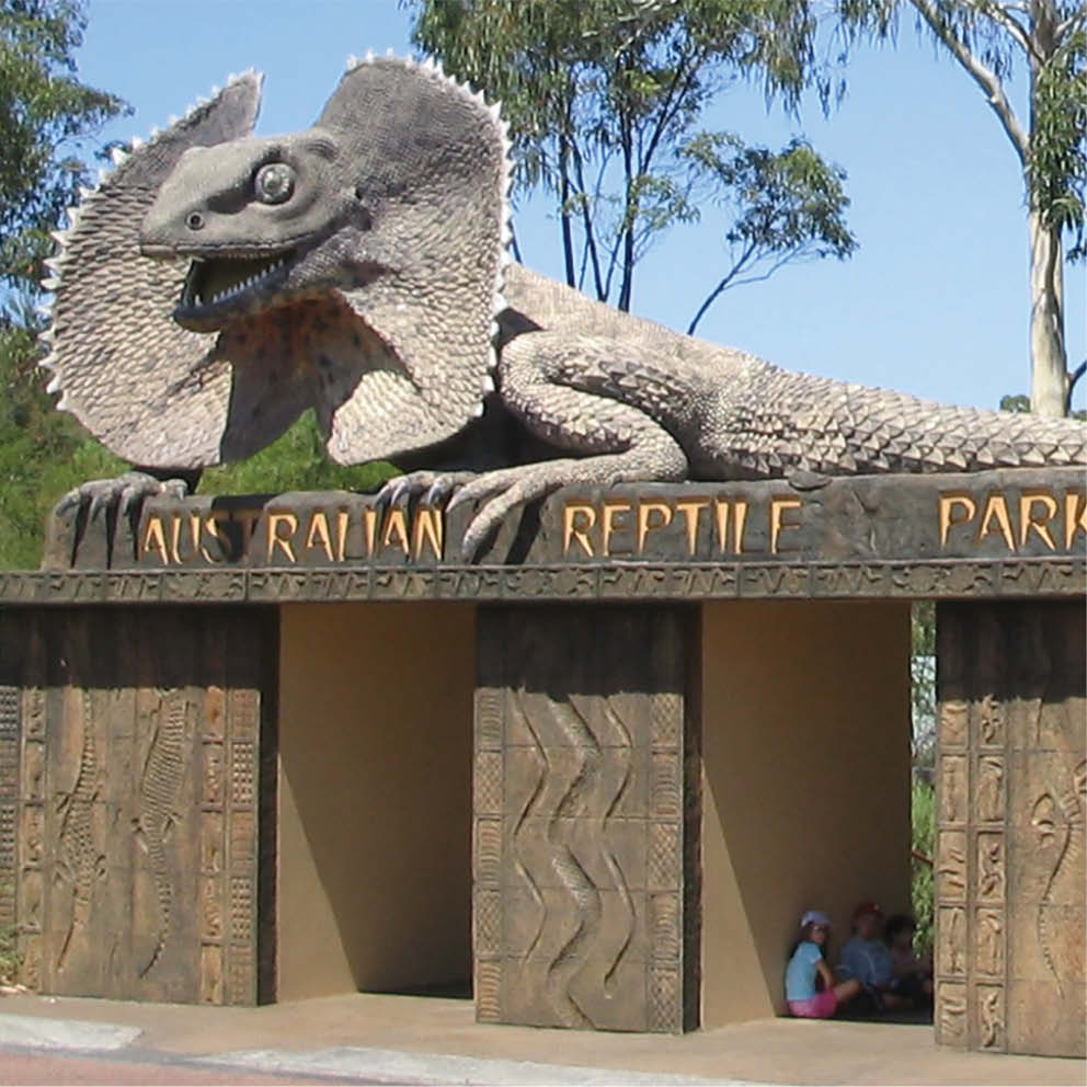 Natureworks Australia Giant Frilled Neck Lizard Entry Statement Australian Reptile Park Entry
