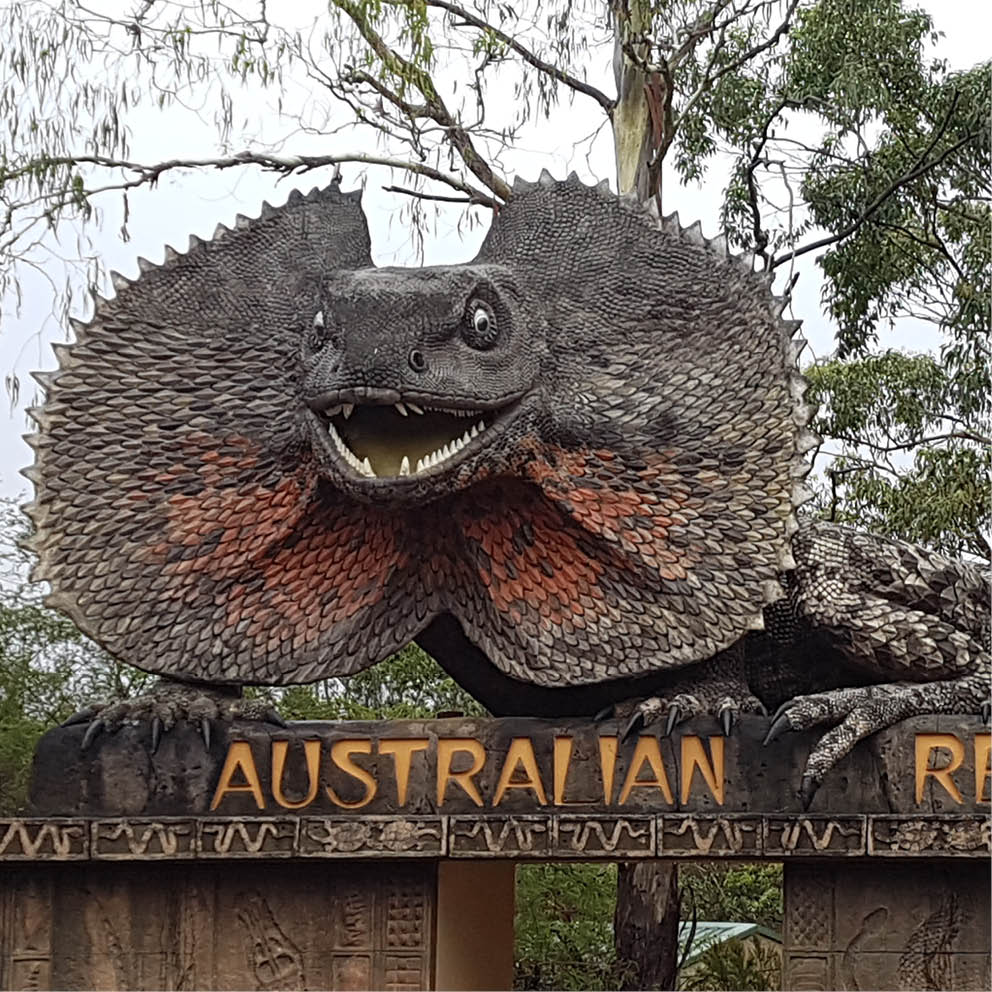 Natureworks Australia Giant Frilled Neck Lizard Entry Statement Australian Reptile Park Front View