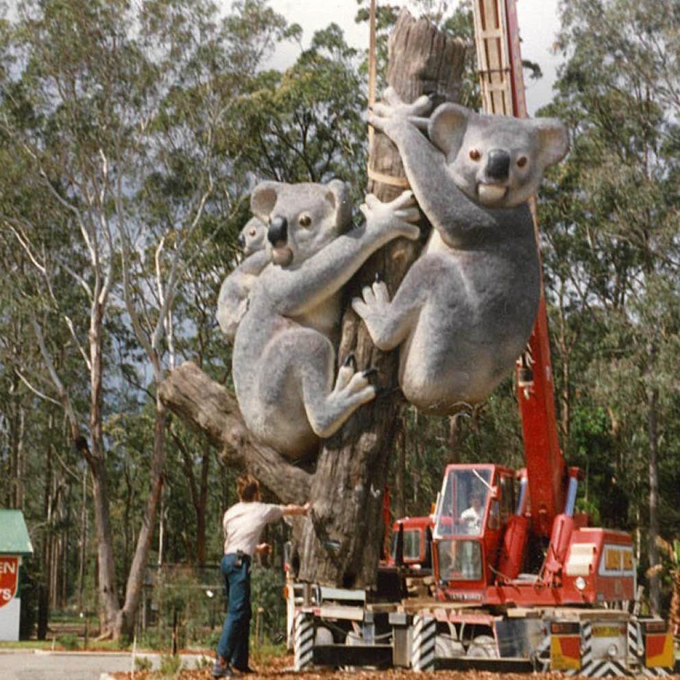 Natureworks Australia Giant Koalas on Tree Stump During installation with crane