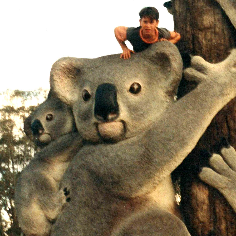 Natureworks Australia Giant Koalas on Tree Stump showing mother and baby