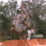 Giant koalas with David