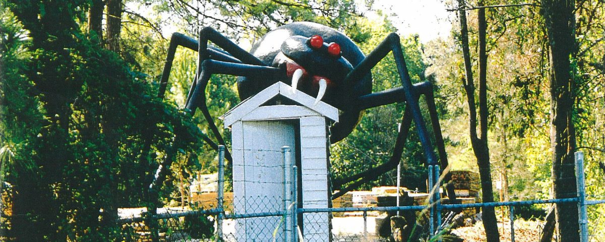 Natureworks Australia Giant Redback Spider crawling over outback dunny