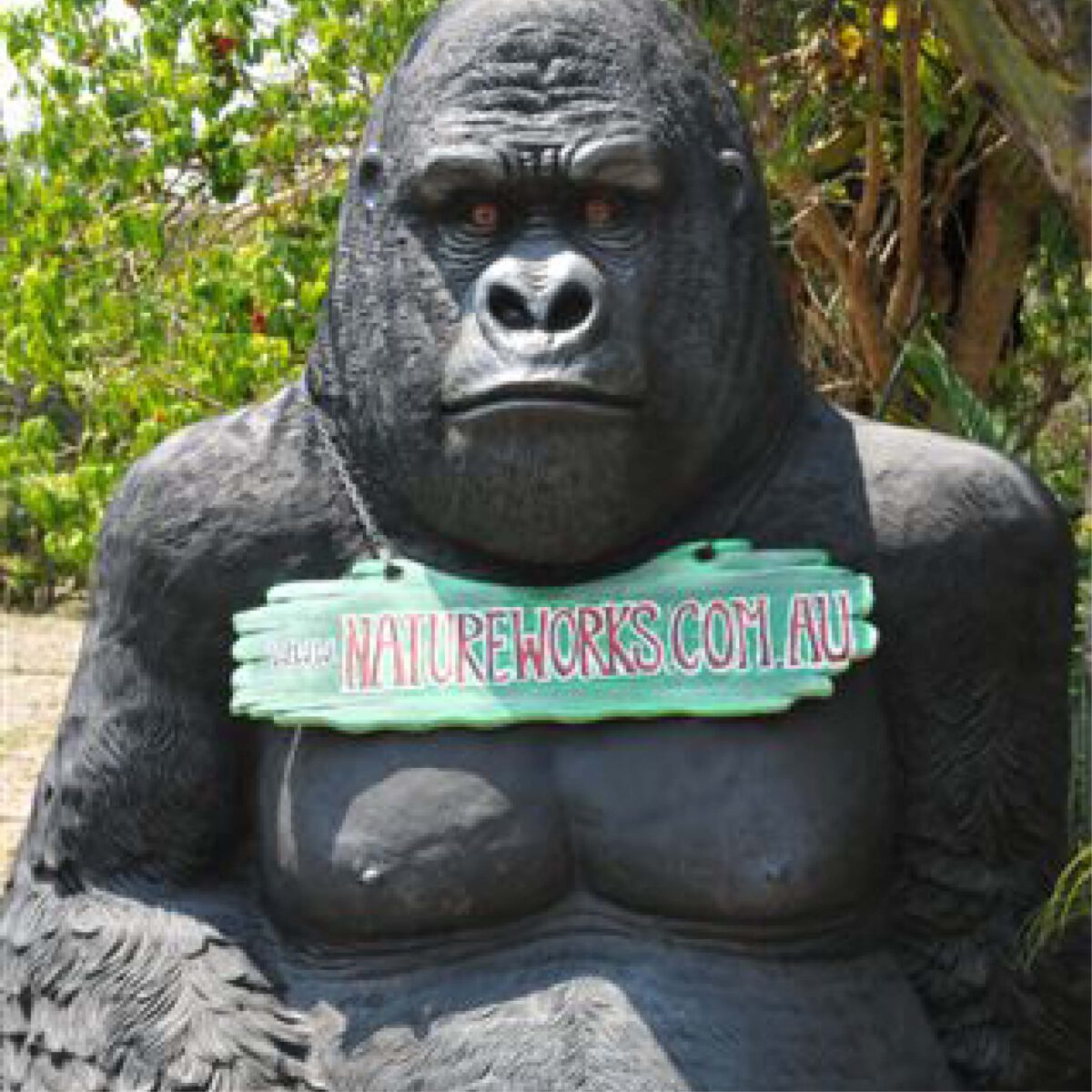 Natureworks Australia Giant Gorilla - Silverback in sitting posse - 8ft high black statue - 110088- shown with complaints notice sign around the statues neck