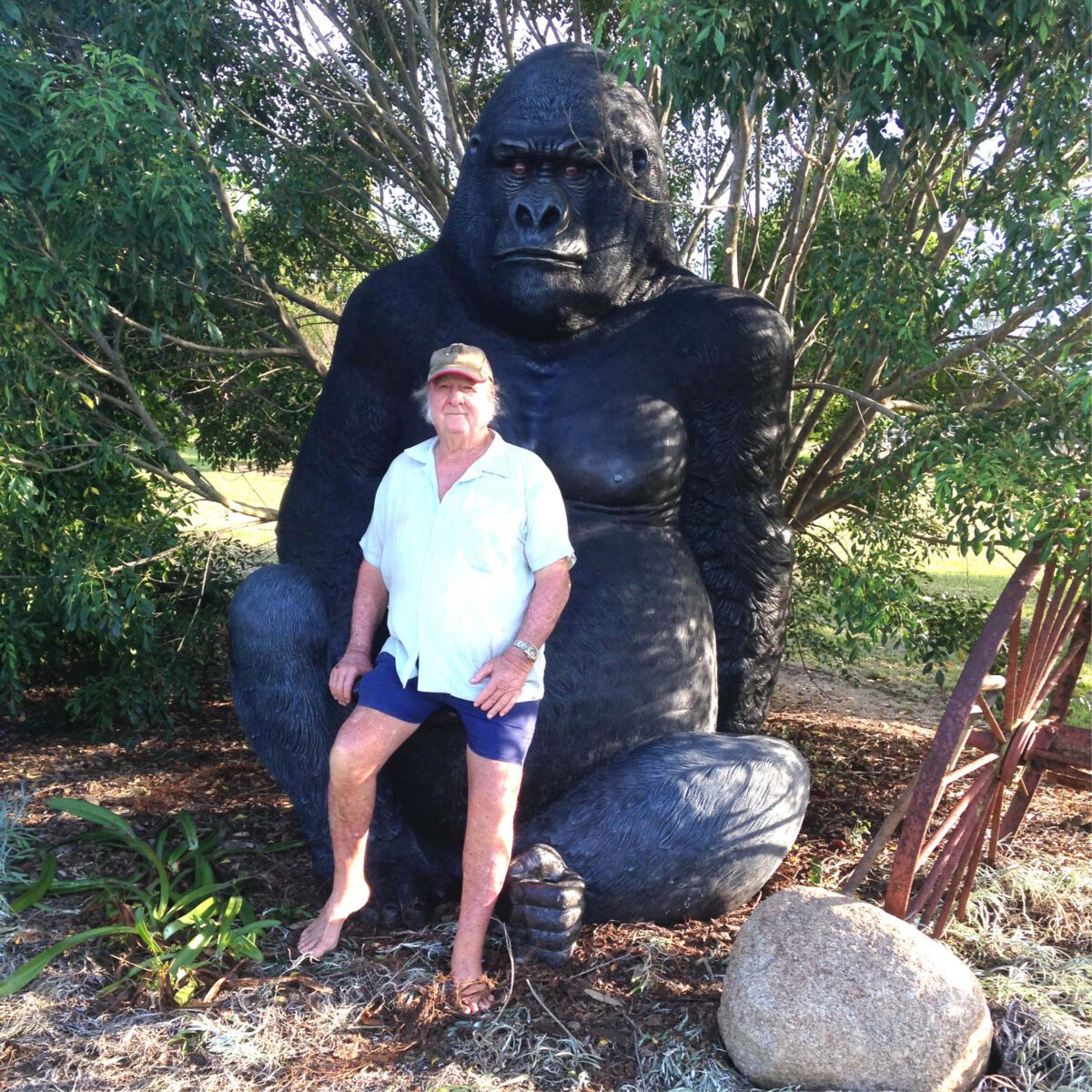 Natureworks Australia Giant Gorilla - Silverback in sitting posse - 8ft high black statue - 110088- shown with happy customer