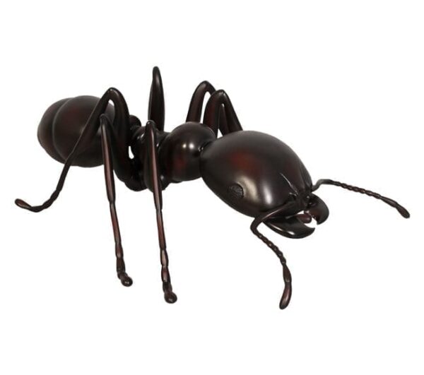 Giant Ant black