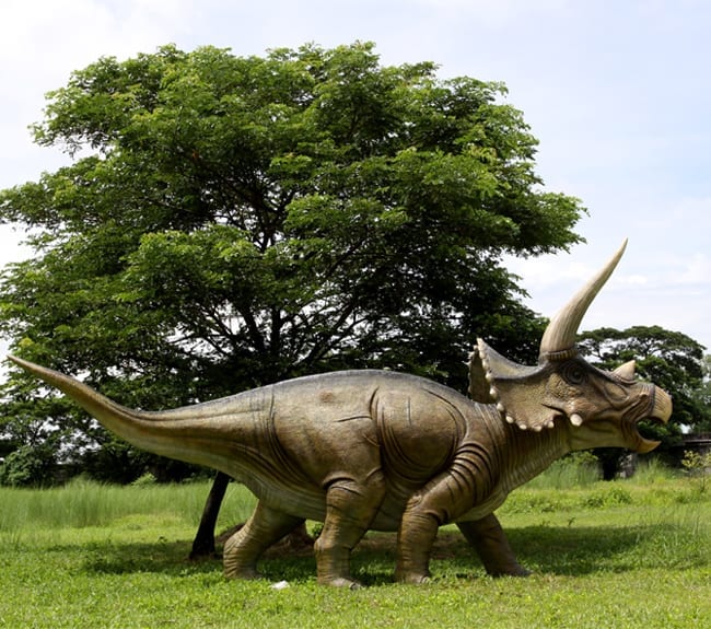 Giant Fibreglass Triceratops Dinosaur Sculpture