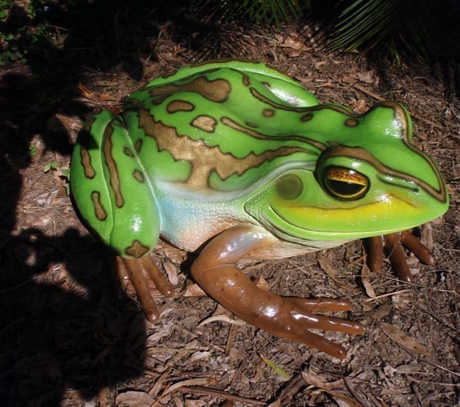 Giant Gold and Green Bell Frog Playground Standard