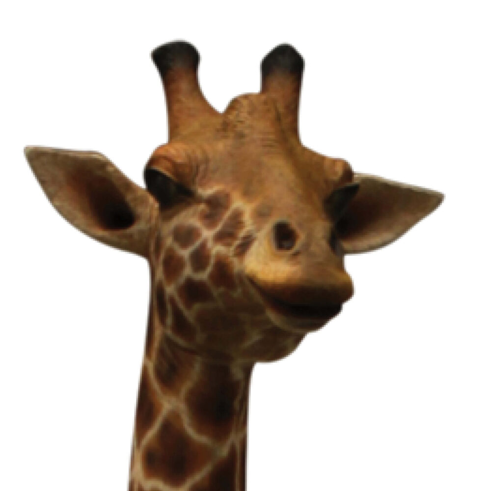 Giraffe-18ft-side view-showing close up of head-140039