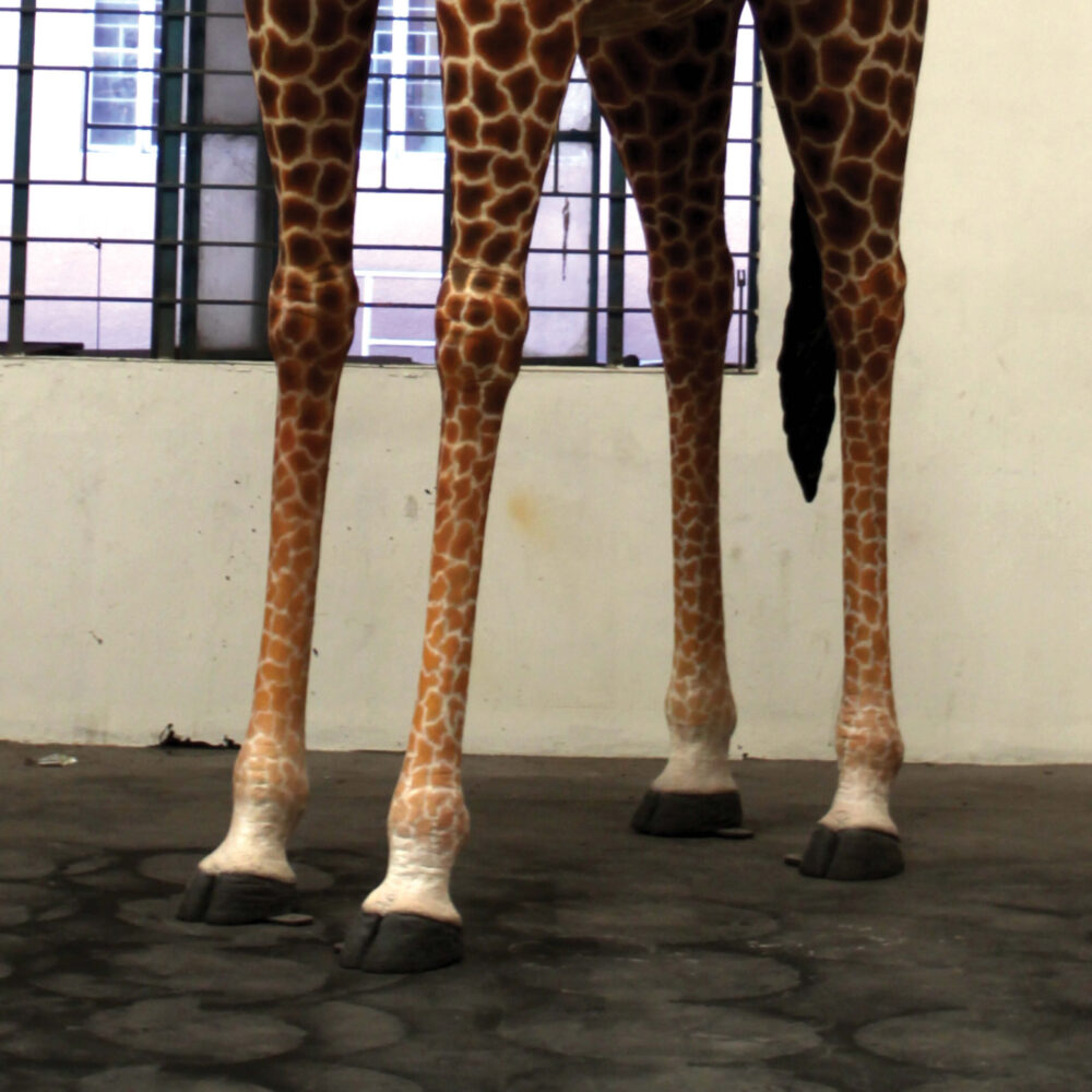 Giraffe-18ft-side view-showing close up of legs-140039