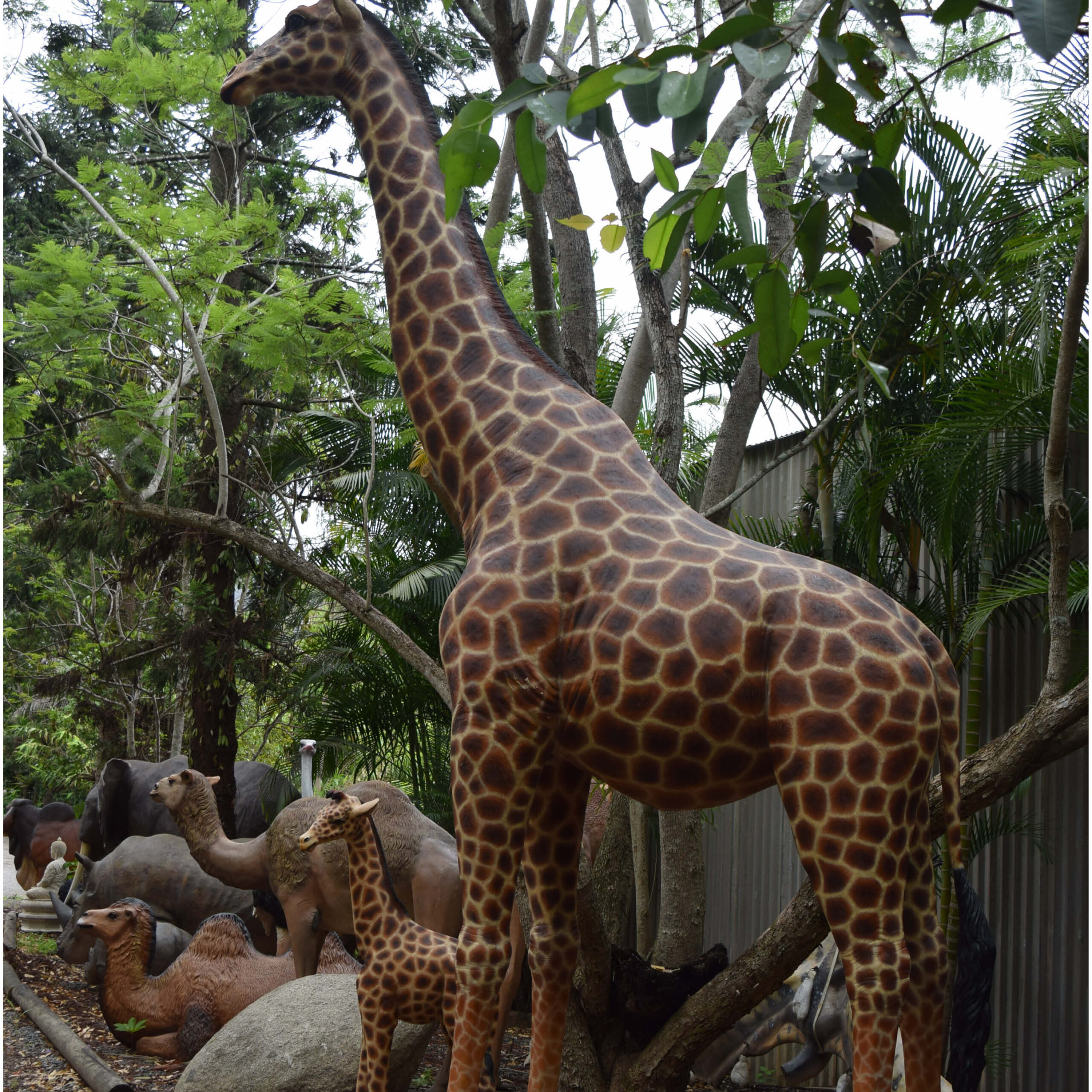 Natureworks Australia Giraffe-18ft-side view-shown at Natureworks Studio - 140039