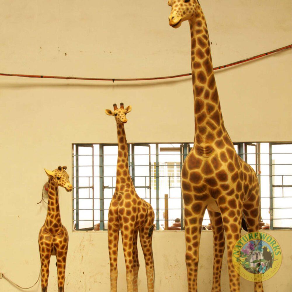 Natureworks Australia Giraffe Statue 6ft Rothchild for sale or hire - 120004 - shown with 3 various sizes of giraffes available