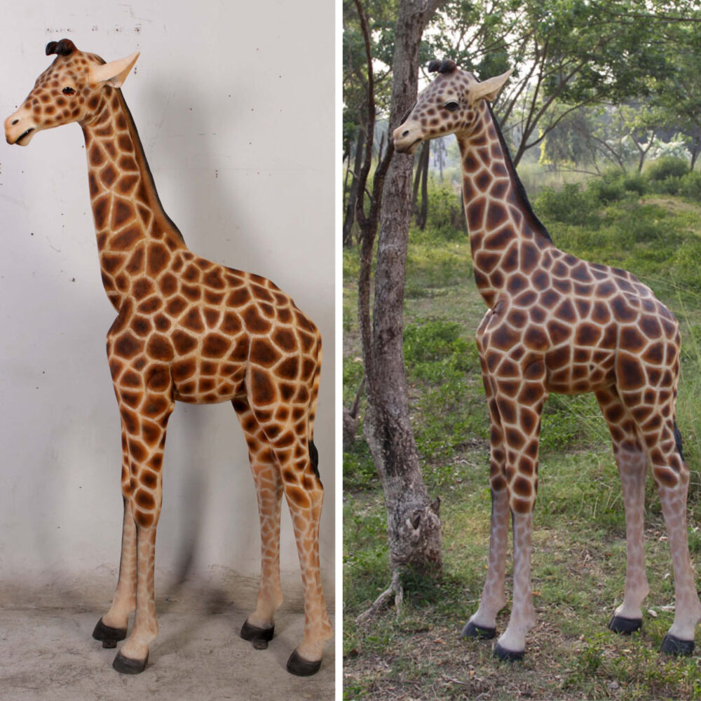 Giraffe Statue 6ft Rothchild for sale or hire - 120004 - showing front and rear views