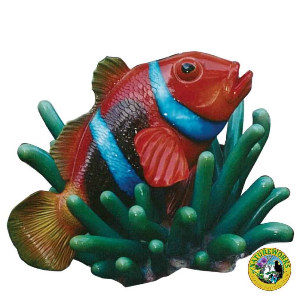 Giant colourful clown fish In anemone cluster