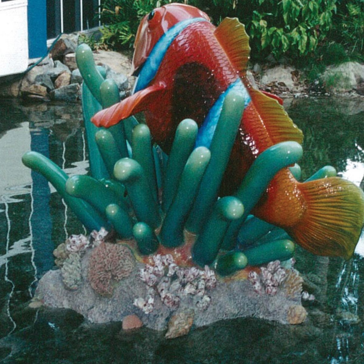 Natureworks Australia Glown Fish in sea anemone- coloured Version fish_100095- Rear View_Image 6