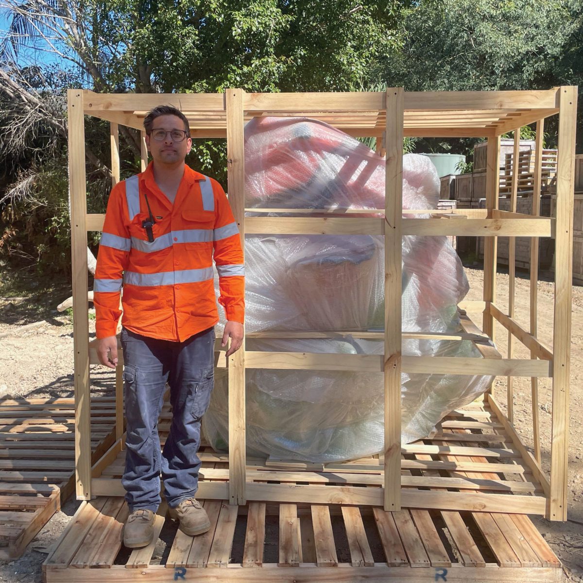 Natureworks Australia Glown Fish in sea anemone- shown in crate ready for shipping