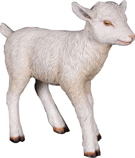 Natureworks Australia Goat Kid Standing