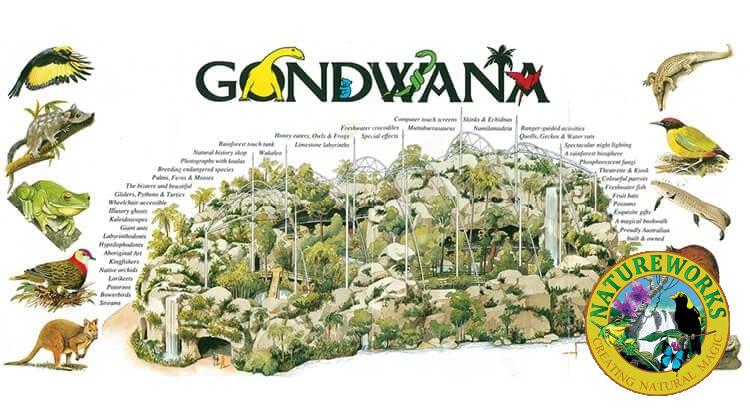 Natureworks Australia Gondwana Rainforest Sanctuary Featured imagepx