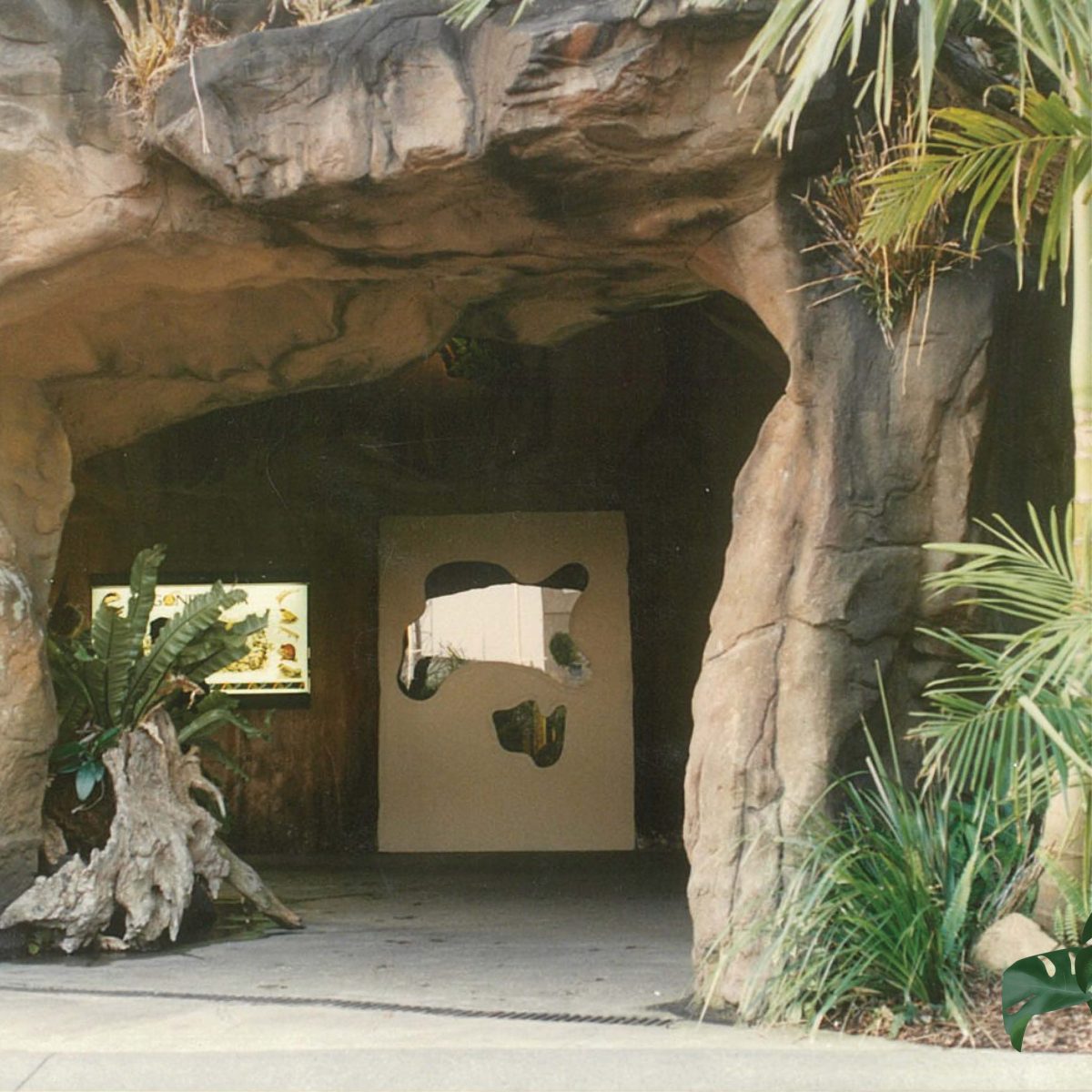 Natureworks Australia Gondwana Rainforest Sanctuary - Brisbane - Artificial Caves