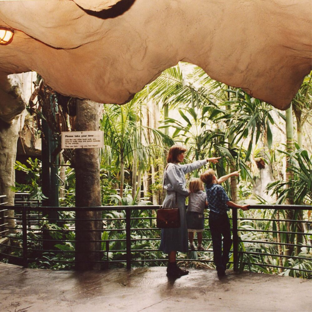 Gondwana Rainforest Sanctuary - Cave - and Artificical Rocks