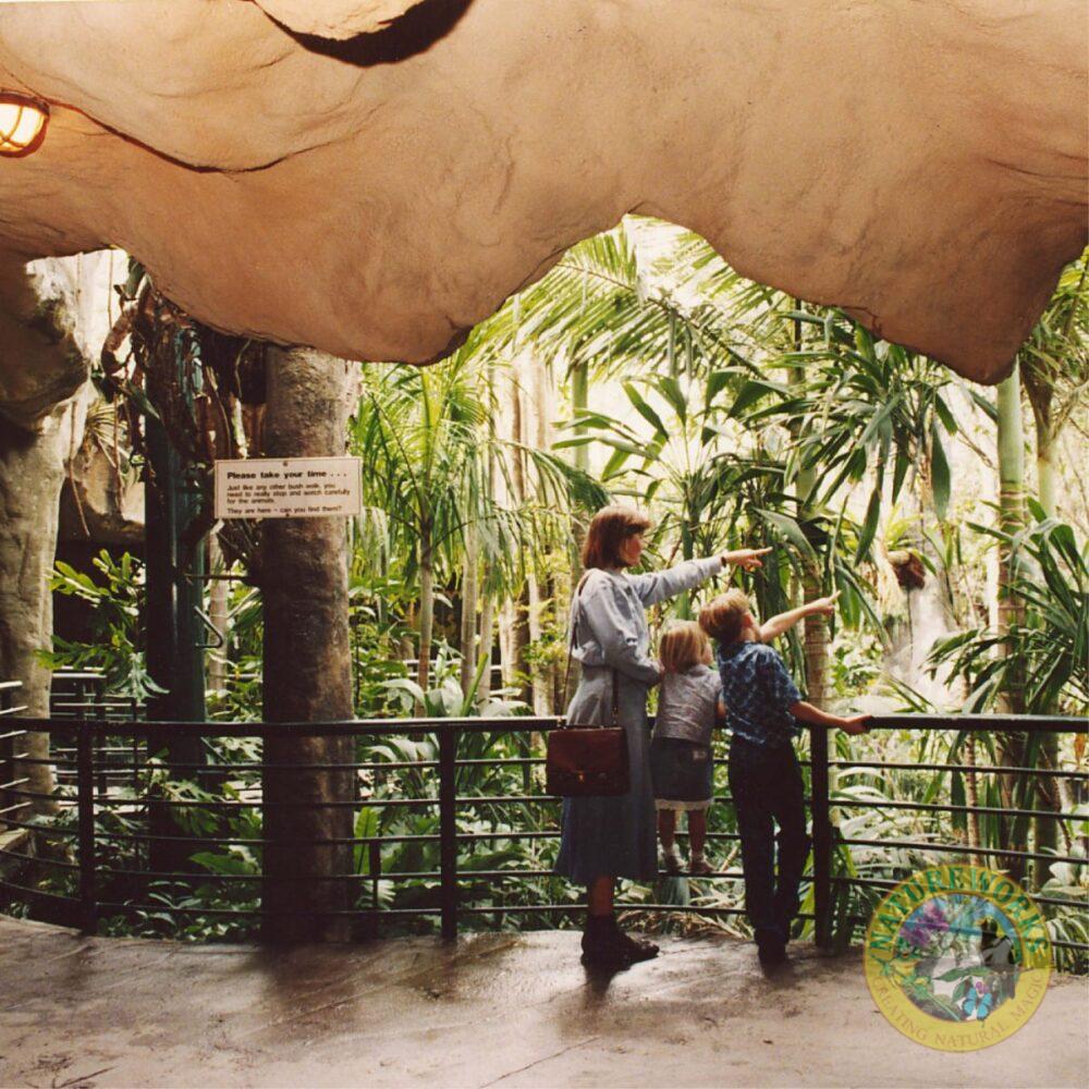Natureworks Australia Gondwana Rainforest Sanctuary - Cave - and Artificical Rocks