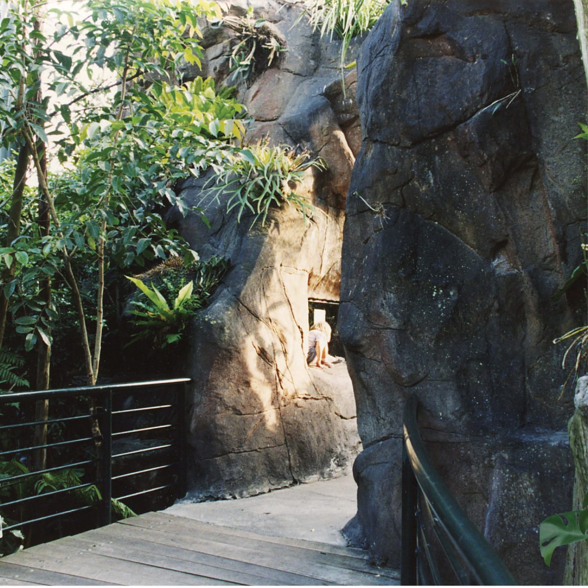 Natureworks Australia Gondwana Rainforest Sanctuary - Brisbane - Artificial Cave entry