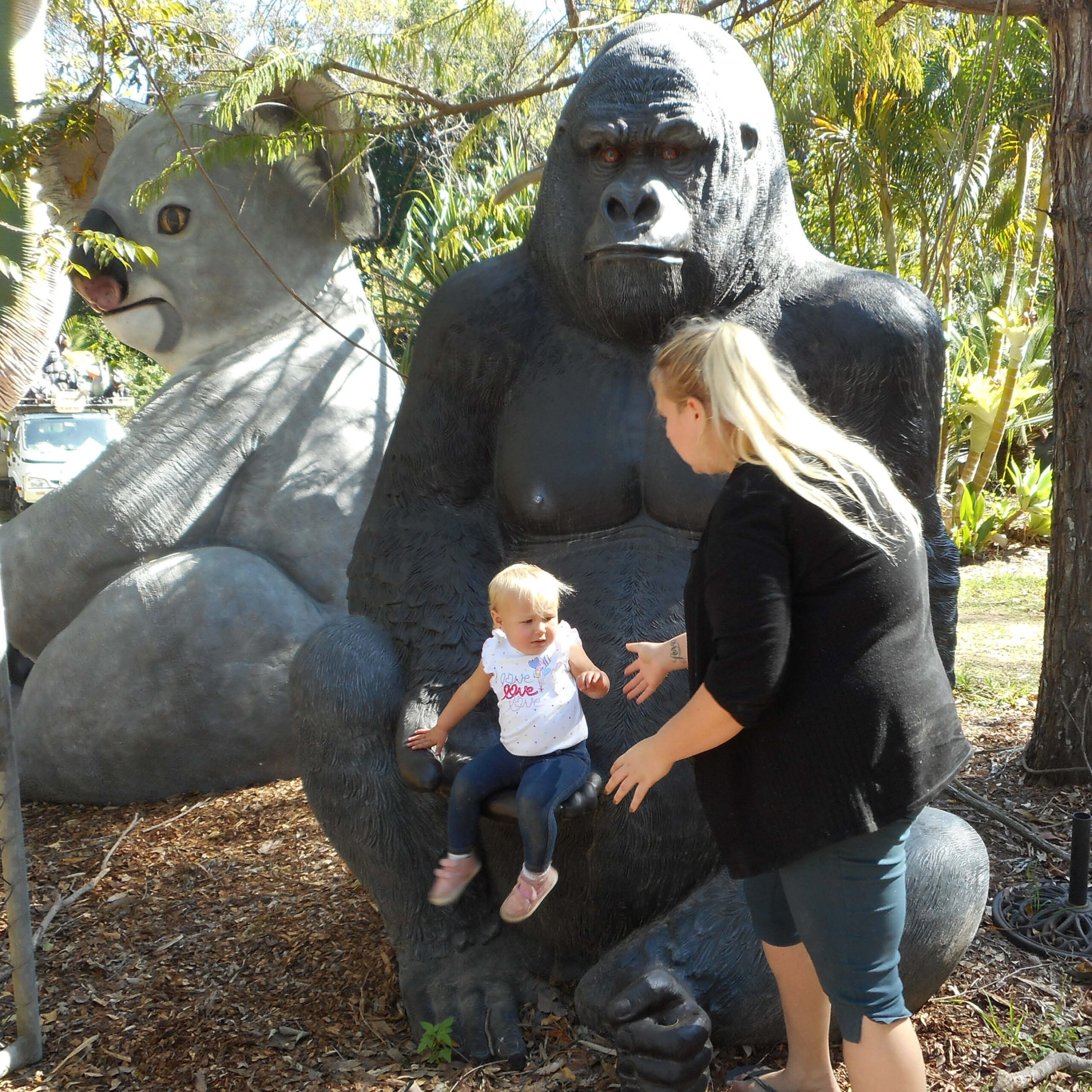 Natureworks Australia Giant Gorilla - Silverback in sitting posse - 8ft high black statue - 110088 shown with little girl and giant cuddles the Koala