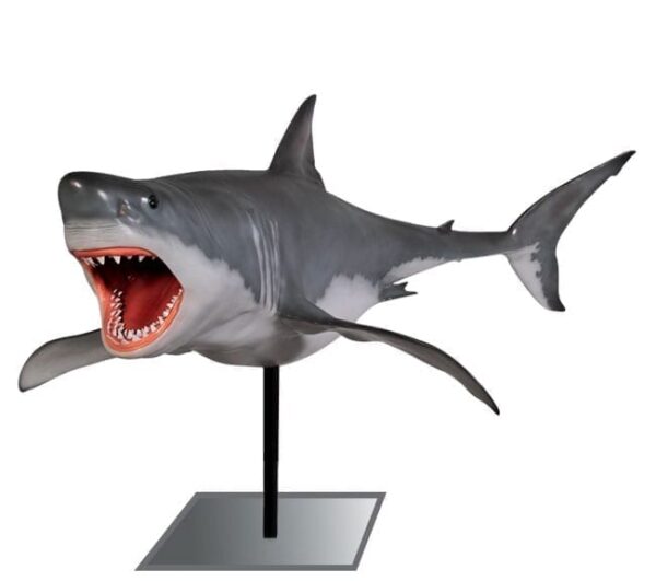 Great White Shark on Pedestal