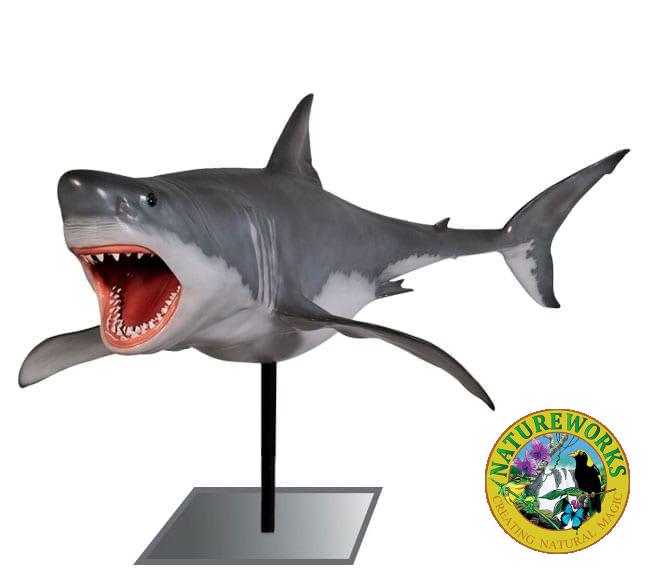 Great White Shark on Pedestal