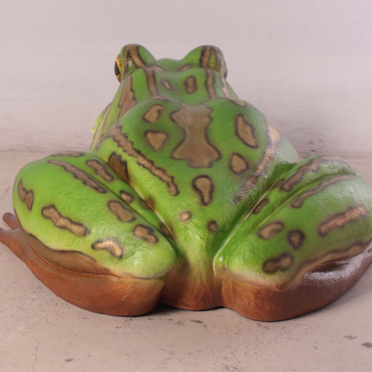Natureworks Australia Green and golden bell frog - Giant - 100017-Rear views