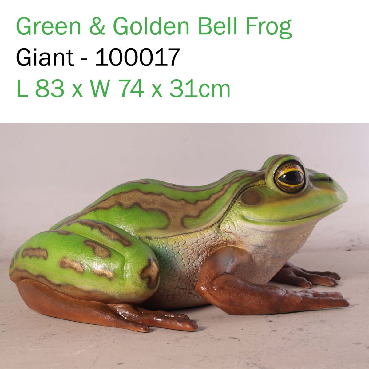 Natureworks Australia Green and golden bell frog - Giant - 100017-side views