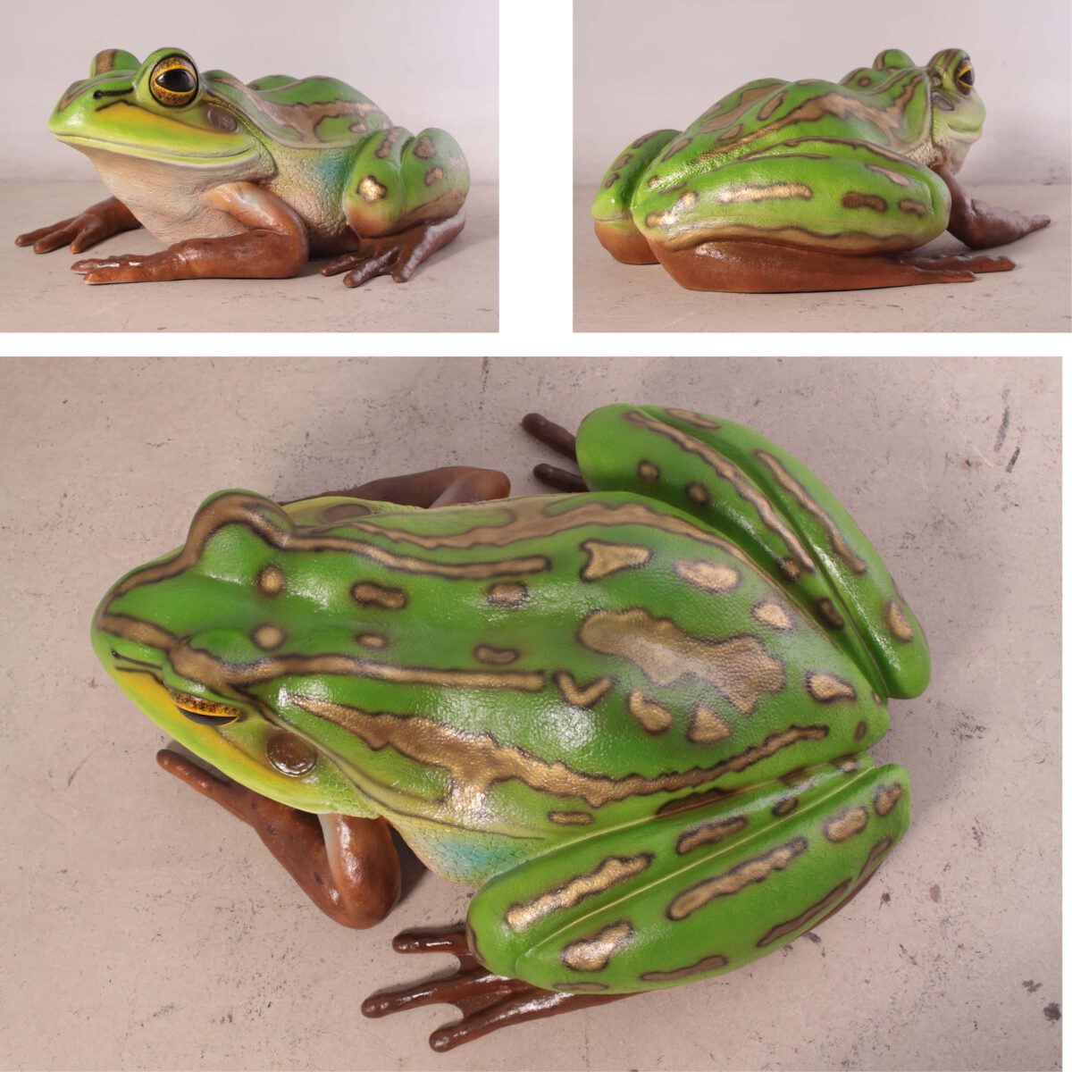 Natureworks Australia Green and golden bell frog - Giant - 100017-various views - top view - sid view and rear angle view