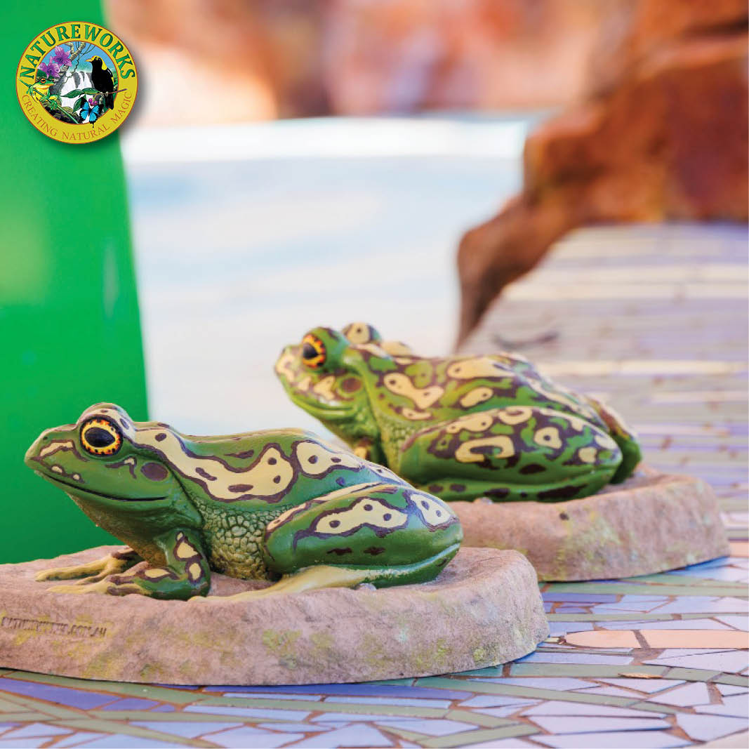 Natureworks Australia Green and Golden Bell Frog - water squirter - Image 6