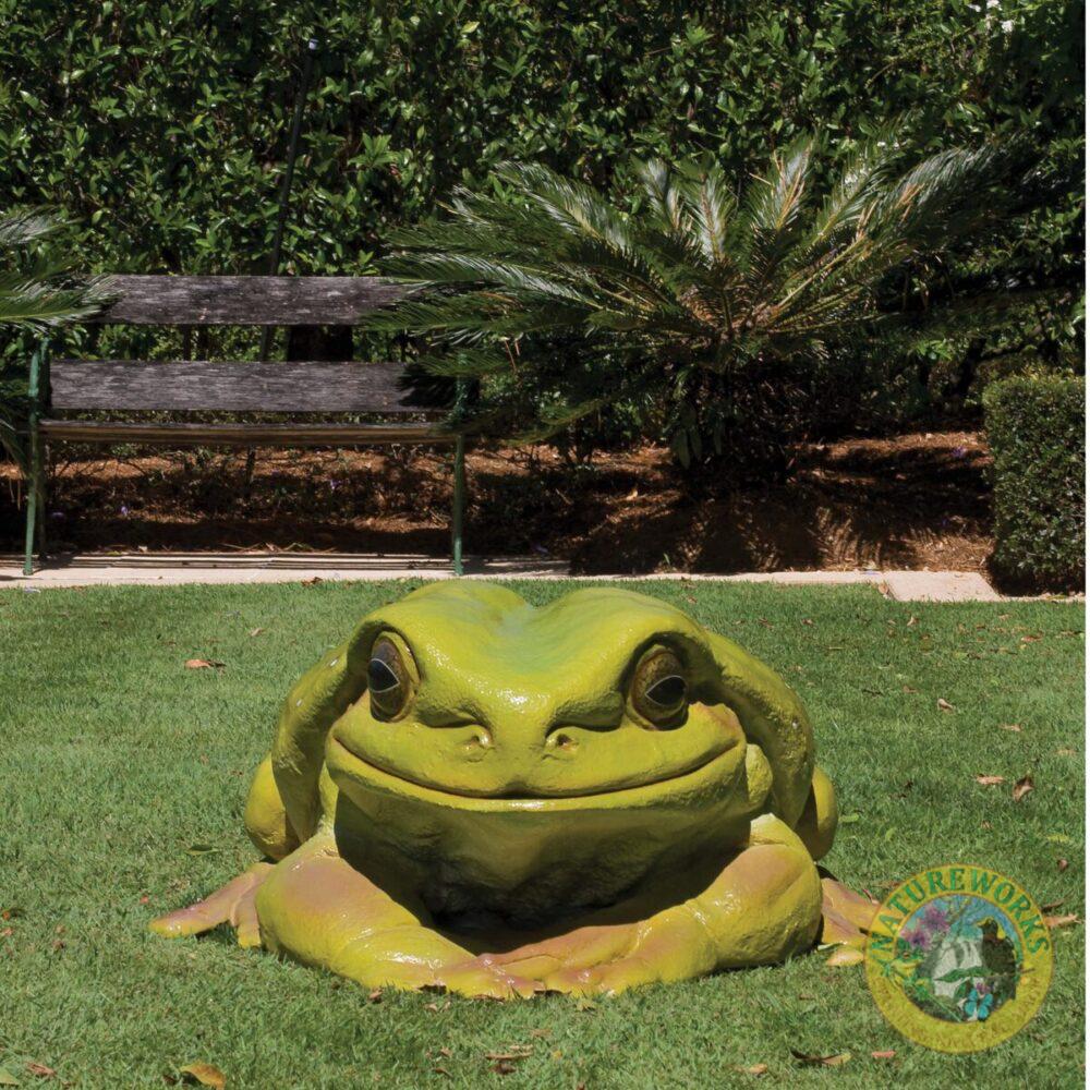 Green_Tree_Frog_Giant-090012- Shown displayed outside on lawn - front view