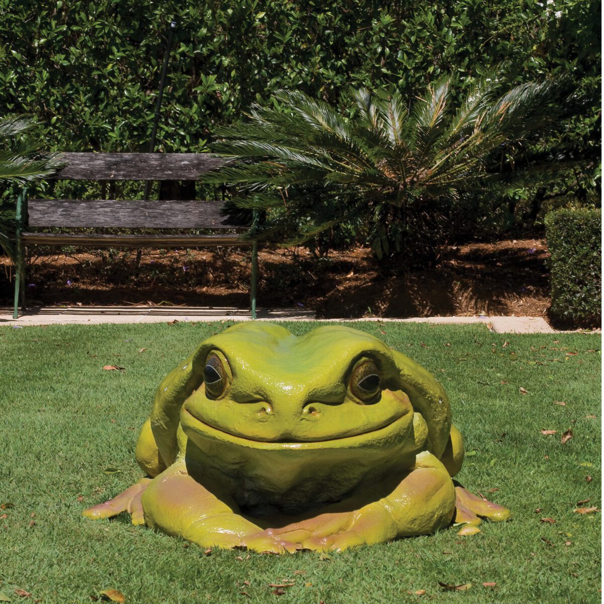Natureworks Australia Green_Tree_Frog_Giant-090012- Shown displayed outside on lawn - front view