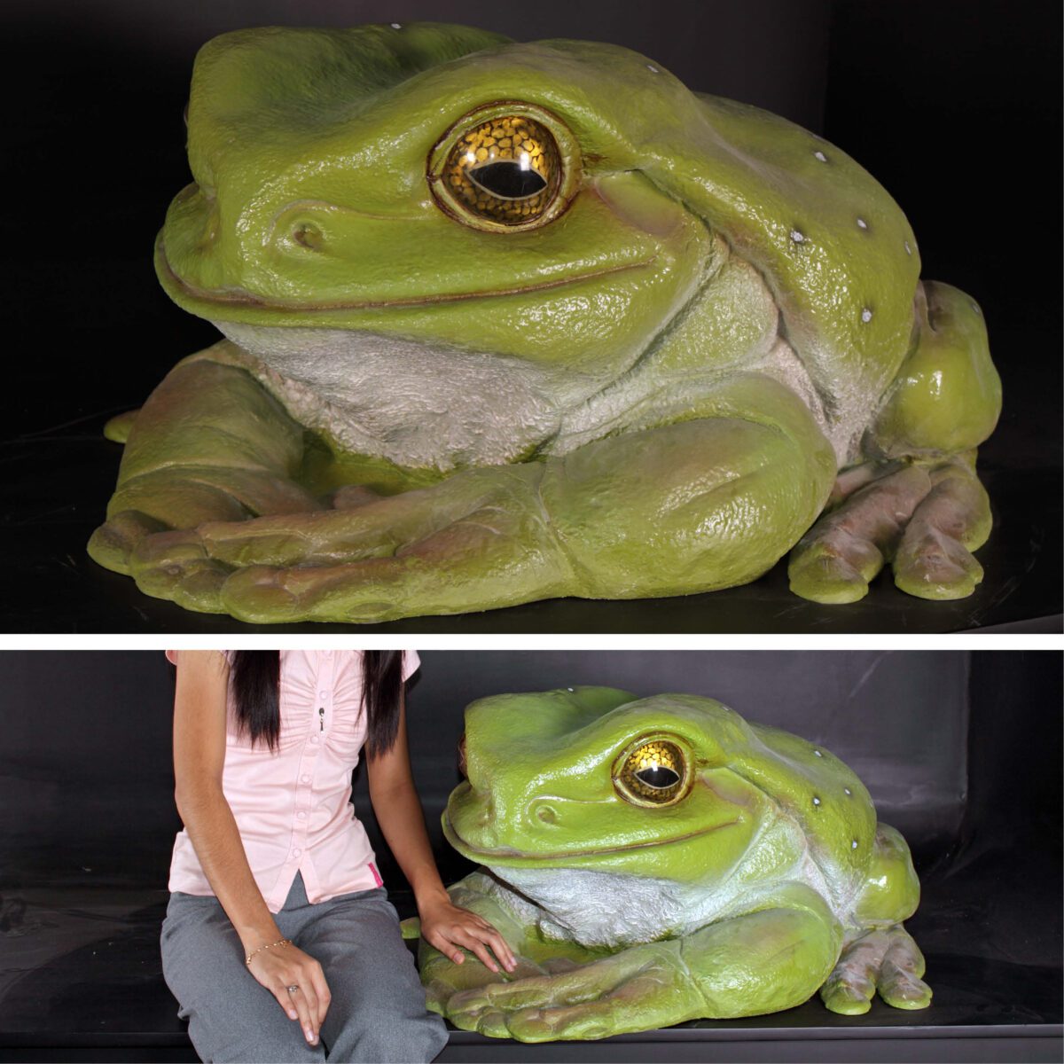 Natureworks Australia Green_Tree_Frog_Giant-090012-with lady - and angle view