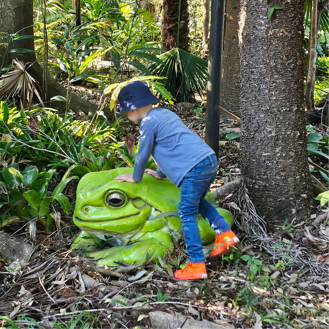 Natureworks Australia Green Tree frog on Rock - 090012 an excited visitor to Natureworks studio
