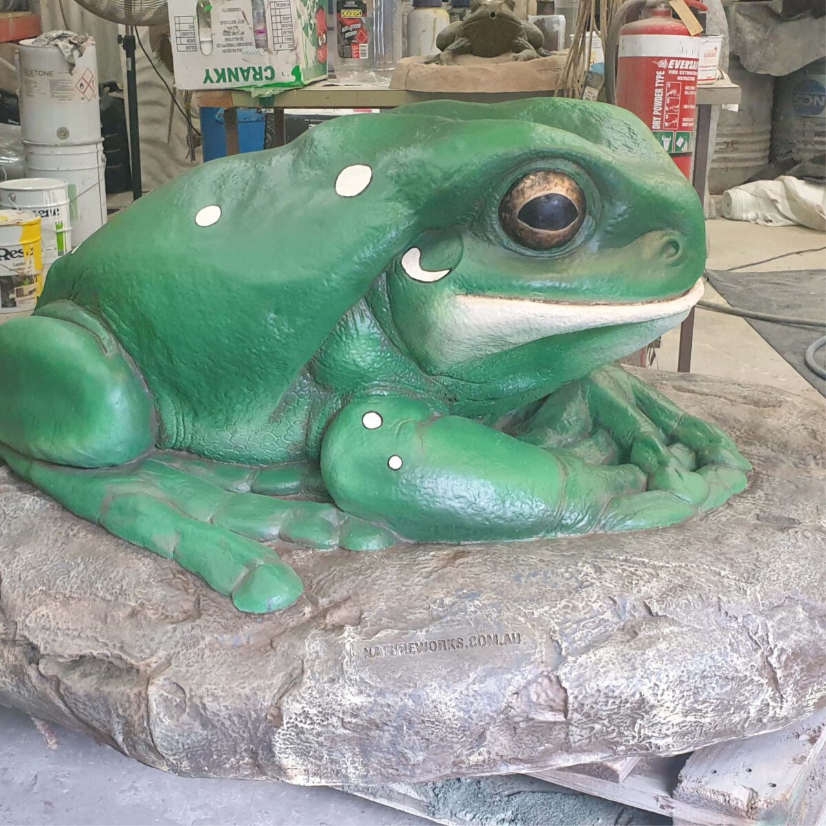 Natureworks Australia Green Tree Frog on Rock – Giant – 190012Rock - - shown in production at Natureworks studio - Brisbane