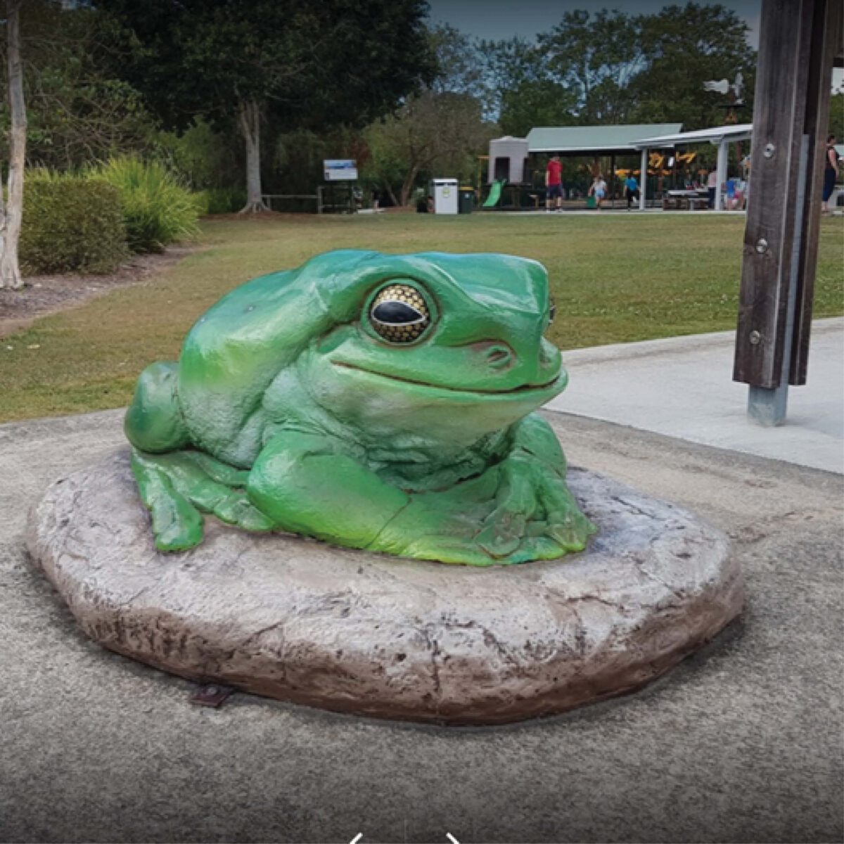 Natureworks Australia Green Tree Frog on Rock – Giant – 190012Rock - - shown installed in a playground
