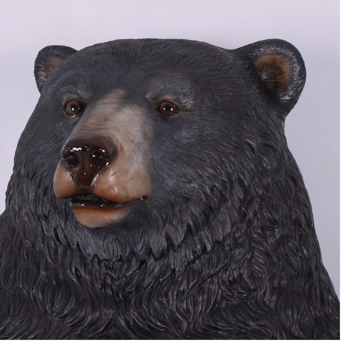 Natureworks Australia Grizzly Bear - Sitting jumbo - size 130011 Black close up of head detail